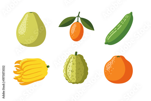 Assorted Exotic Fruits Collection