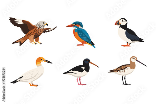 Collection of Diverse Bird Species