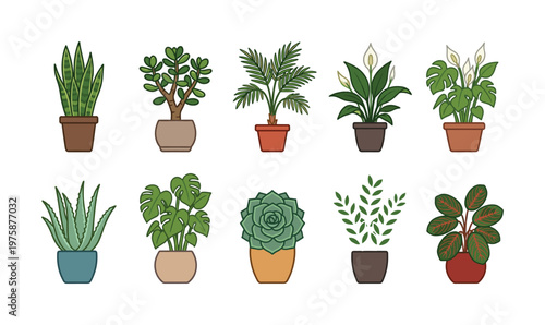 Modern vector illustrations featuring diverse potted houseplants like snake plant, jade, peace lily, monstera, succulent, aloe vera. Perfect for home decor, websites, and apps, symbolizing nature
