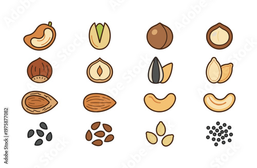 A clean, vibrant vector collection of diverse nuts and seeds including cashew, pistachio, and almond. Ideal for healthy food branding, web design, apps, and educational graphics.