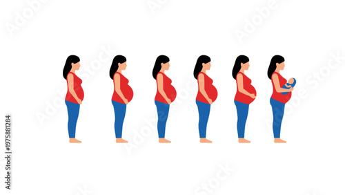 Pregnancy cycle illustration showing maternity stages and newborn