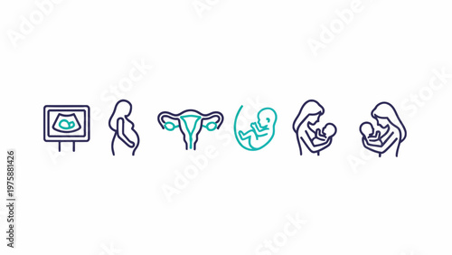 Pregnancy and Motherhood Icon Set on White Background