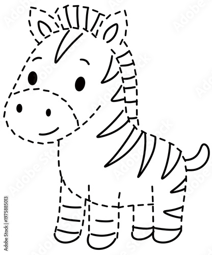 Photography zebra