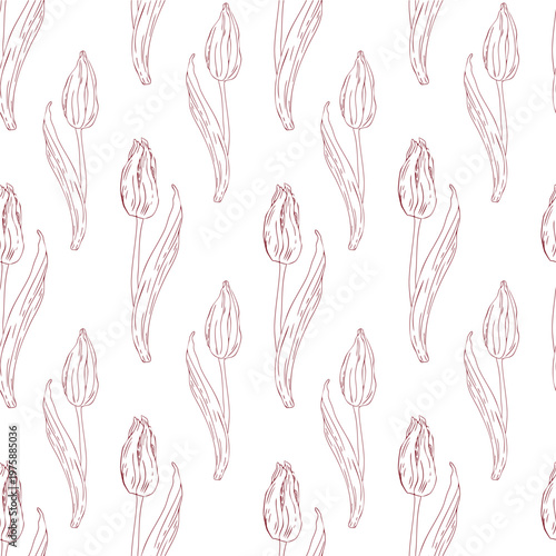 Elegant tulip buds, hand-drawn with simple lines that create a beautiful and delicate seamless floral background pattern.