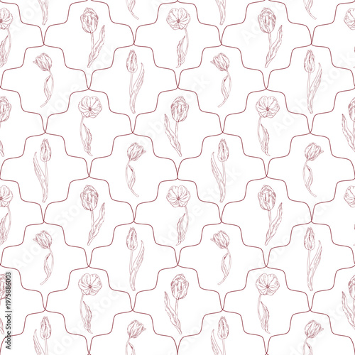 Elegant tulip buds and blooms, a beautiful wavy line, diamonds, a frame, all drawn by hand with simple lines that create a beautiful and delicate seamless floral background pattern.