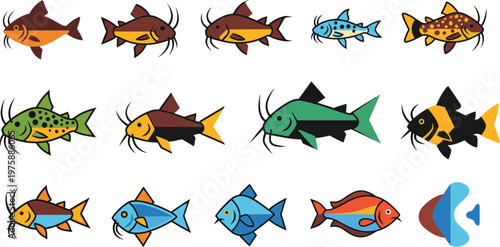 Catfish Vector Set Colorful Freshwater Fish Collection Aquatic Illustration