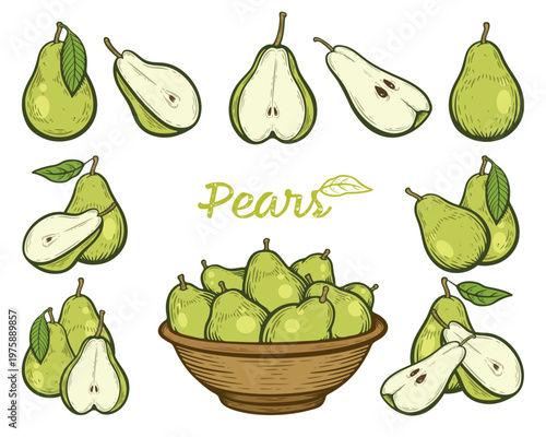 Pear set, green fruit collection, whole, half, quarter, in a bowl, various pears, colourful, hand-drawn illustration, line art contour, isolated