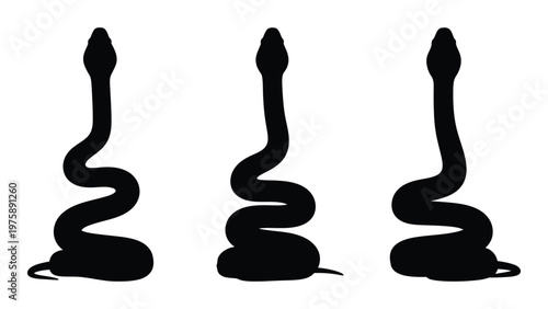 Three black silhouettes of cobras in a poised winding position