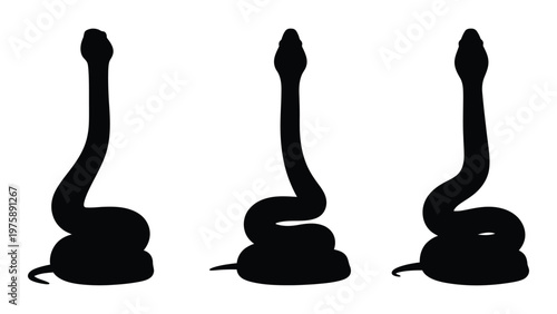 Three silhouetted cobras poised to strike showcasing their distinctive curved forms