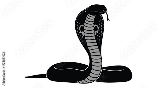 A black and white illustration of a cobra with its hood spread poised and ready