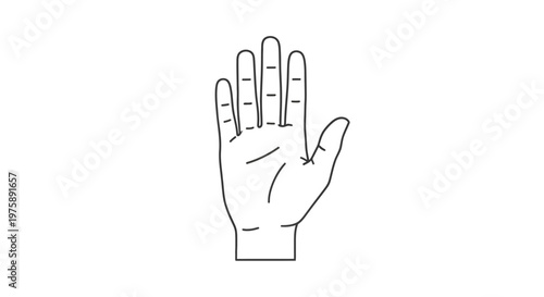 Open hand line drawing, palmistry lines, isolated on white background