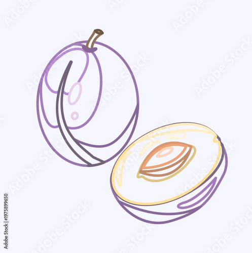 purple line doodle prunes plum. Whole, pieces minimalistic style art. Element for designing product food or desert. vector .