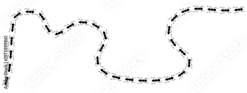 Black print track shows ants walking in a wavy curved line vector illustration