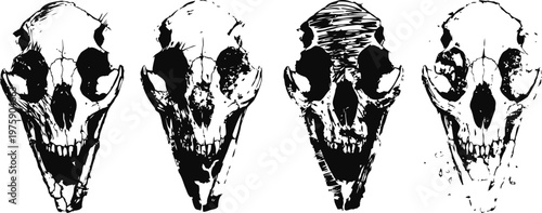 set of four stylized animal skull illustrations with varying shading and texture effects