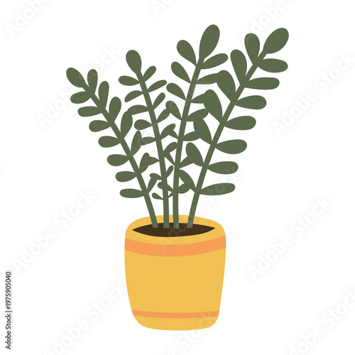 Indoor houseplant in yellow ceramic flowerpot