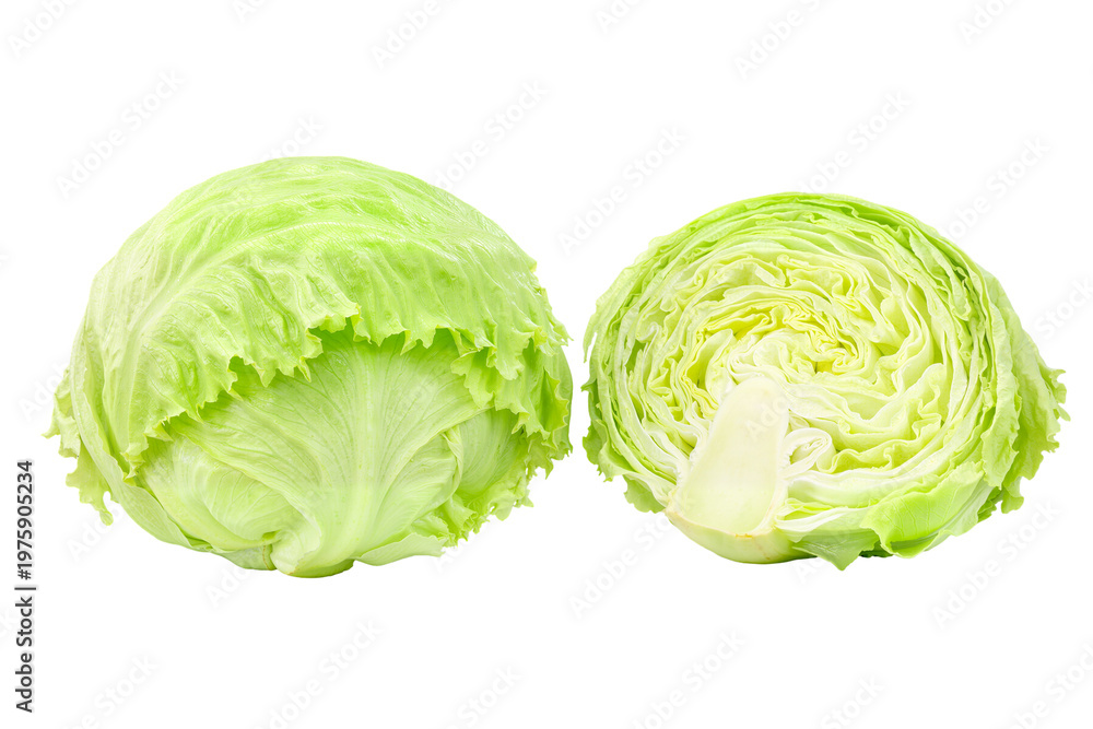 Obraz premium Green iceberg lettuce on white background