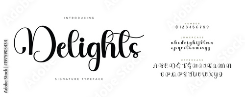 signature Font Calligraphy Logotype Script Brush Font Type Font lettering handwritten. Minimal modern urban fonts for logo, brand etc. Typography typeface uppercase lowercase and number. vector 