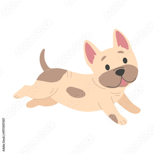 Cute french bulldog puppy, funny dog isolated on white background, vector illustration