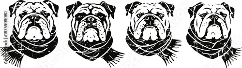 Four black and white bulldog portraits with scarves silhouettes of dogs in winter accessories