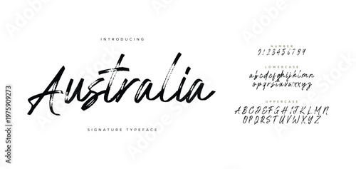 Brush Script Font. Retro Typeface. Vector Illustration.
