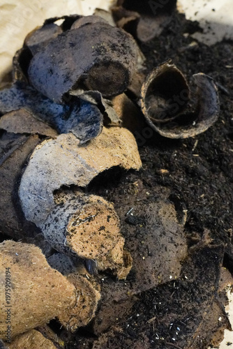 Used biodegradable peat pots and soil, gardening preparation, seed starting concept, eco friendly planting materials, organic gardening background