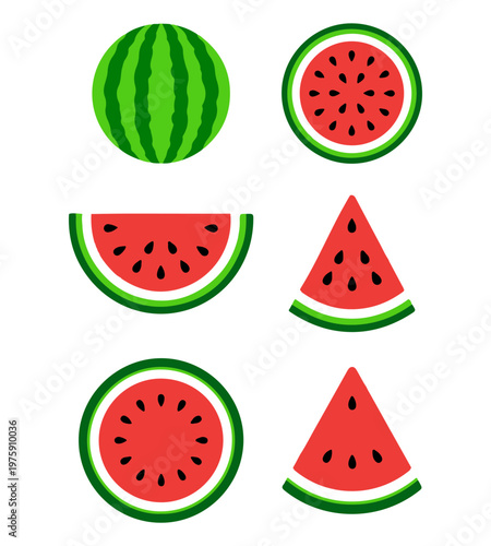 Set of fruits. Summer fruit collection. Fruits watermelon. Vegetarian and ecology food. Vector illustration.