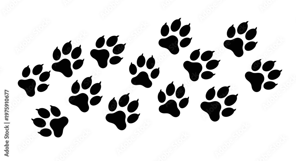 Fototapeta premium Black animal paw prints on a white background.