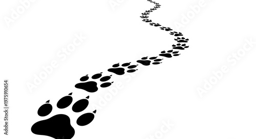 Black animal paw prints leading away on a white background.
