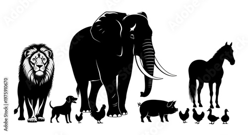 Diverse animal kingdom silhouettes on a white background.