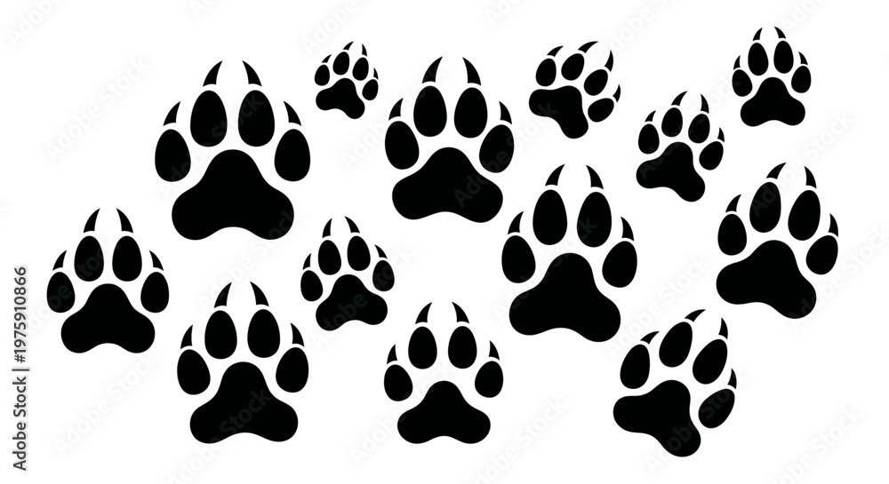 Fototapeta premium Black paw prints of various sizes scattered on a white background.