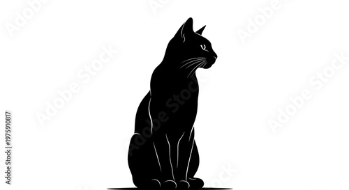 Elegant Black Cat Silhouette Sitting Gracefully Against a White Background.
