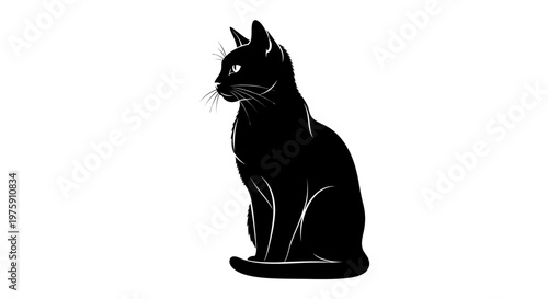 Elegant Black Cat Silhouette Sitting Gracefully on White Background.