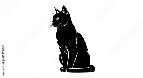 Elegant Black Cat Silhouette Sitting Gracefully.