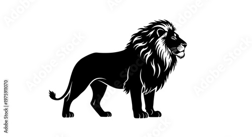 Majestic black lion standing proudly on a white background.