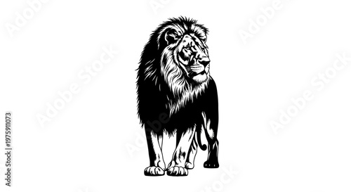 Majestic black and white illustration of a powerful lion standing.