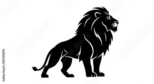 Majestic black lion standing proudly on a white background.