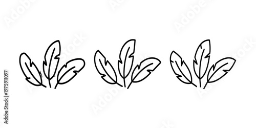 Minimalistic feather vector illustration set, elegant hand-drawn outline collection of plume icons, simple fluffy bird plumage for design element