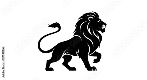 Majestic black lion walking proudly, a symbol of strength and royalty.