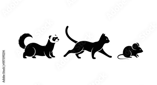 Black silhouettes of a ferret, cat, and mouse on a white background.
