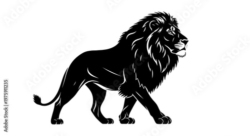 Majestic Black Lion Walking Proudly on White Background.