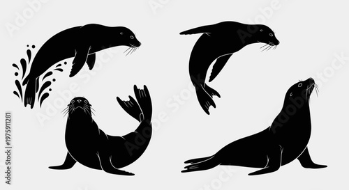 Black silhouettes of seals in various poses on a light background.