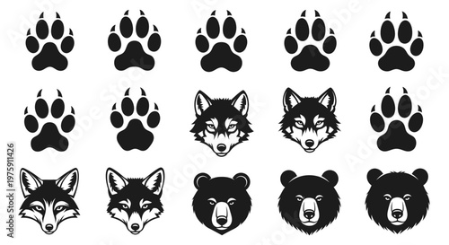 Collection of animal paw prints and head illustrations.