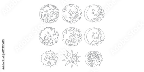 Set of nine diverse tree foliage outlines presented from a top-down perspective, useful for architectural plans and landscape design projects