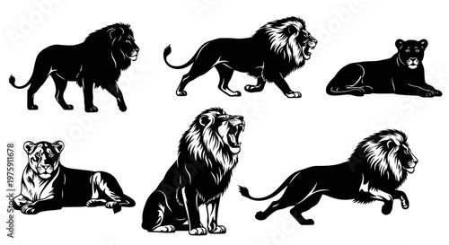 Collection of powerful lions and lionesses in various dynamic poses.