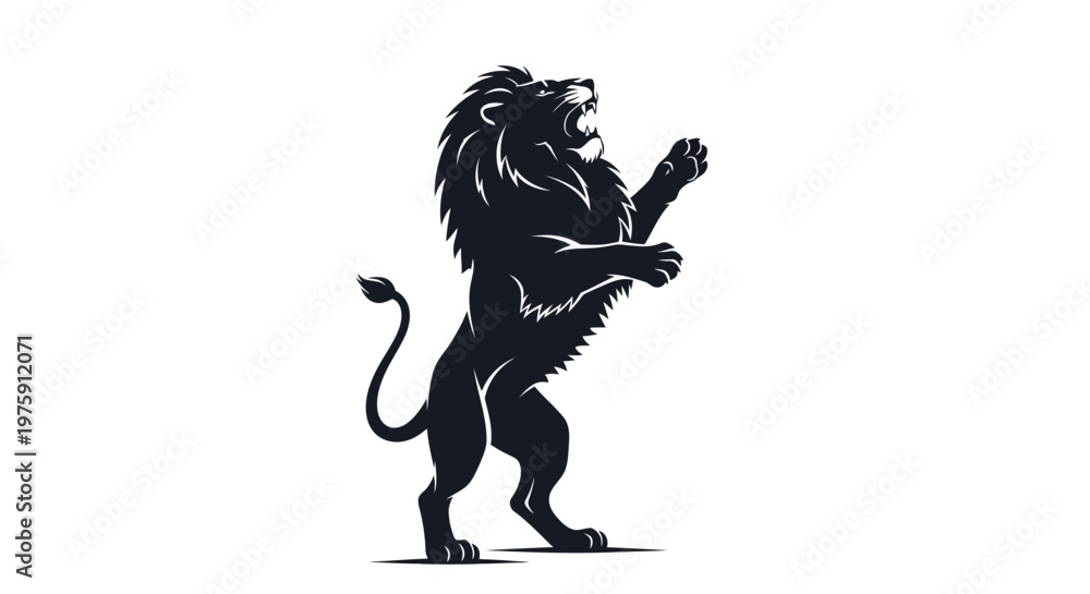 Fototapeta premium Majestic Black Lion Rearing Up on Hind Legs.