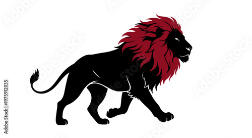 Majestic black lion with striking red mane walking proudly.