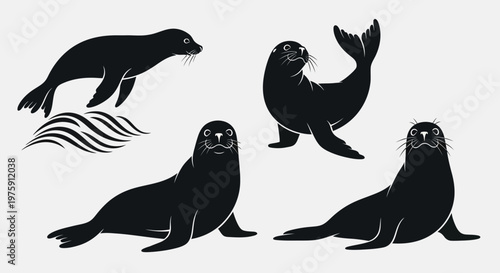 Collection of various sea lion silhouettes in different poses.