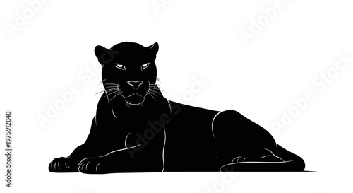 Majestic Black Panther Resting on White Background.