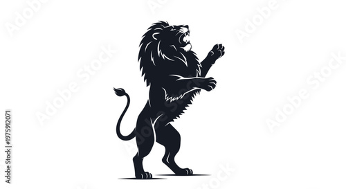 Majestic Black Lion Rearing Up on Hind Legs.