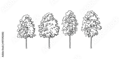 Continuous line drawing of deciduous trees set in black ink style for architectural landscape visualization and outdoor park environment design elements